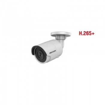 CAMERA IP 2MP HIKVISION DS-2CD2025FHWD-I